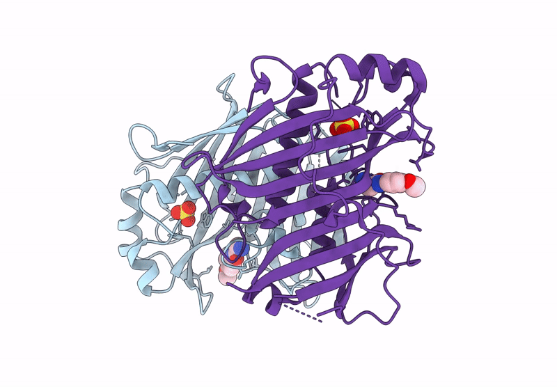 7HSD image