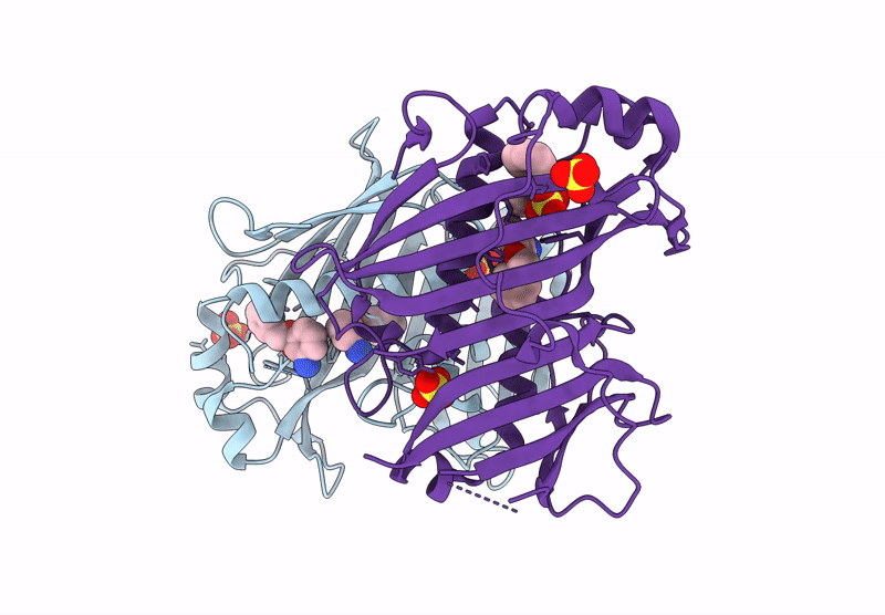 7HSP image