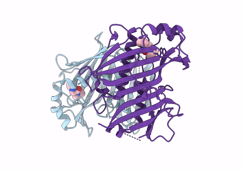 7HSS image