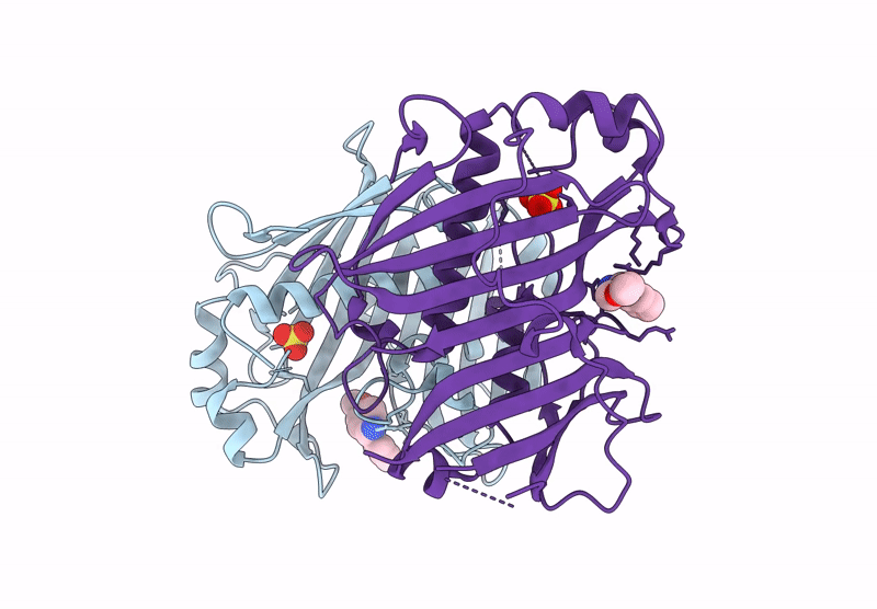 7HST image