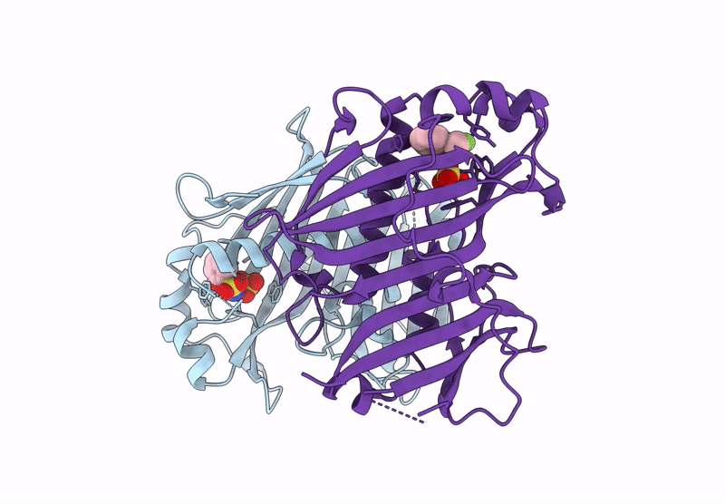 7HTB image