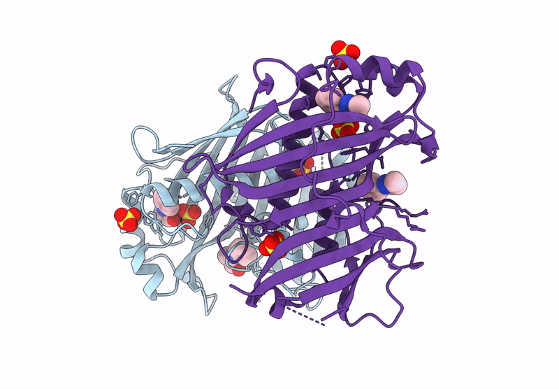 7HTL image