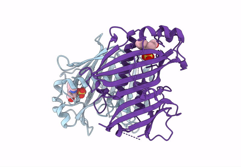 7HTO image