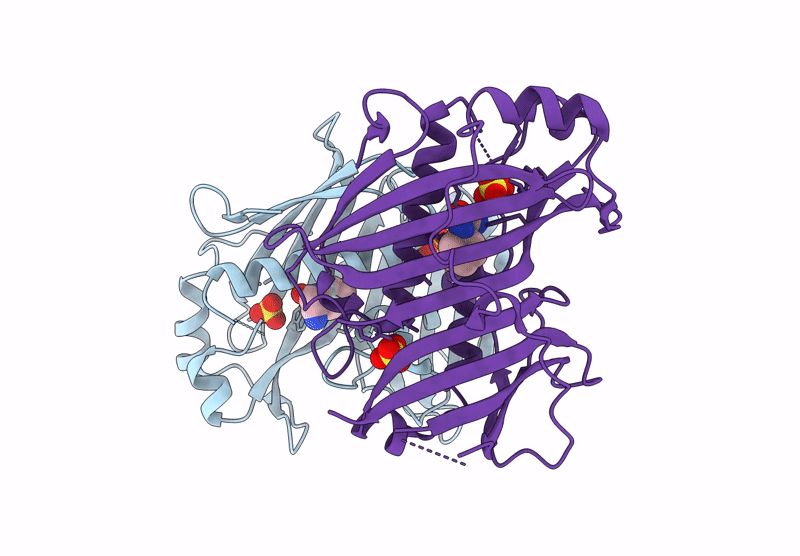 7HTR image