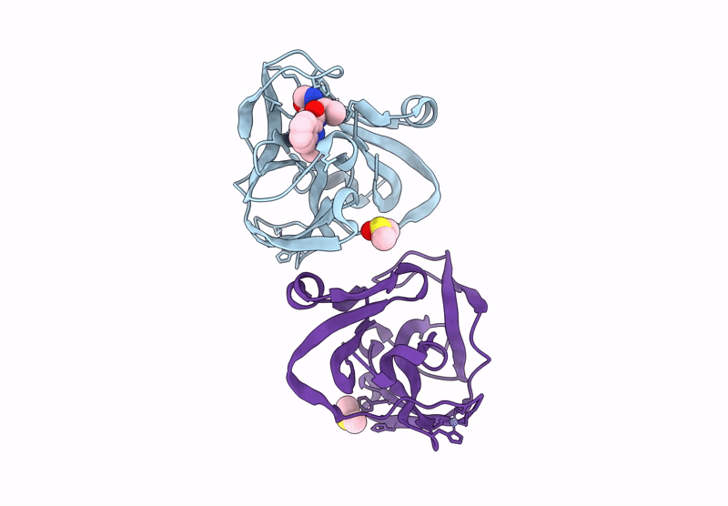 7HVT image