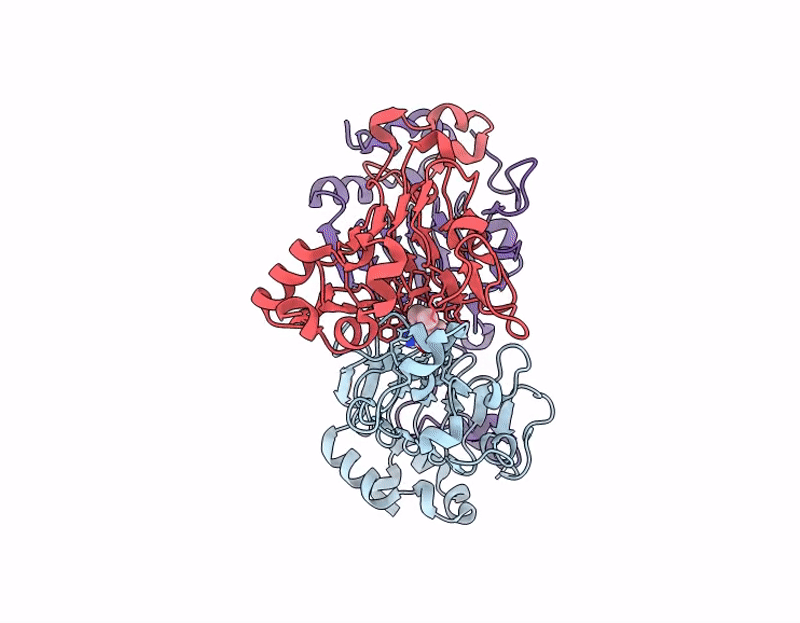 7I04 image