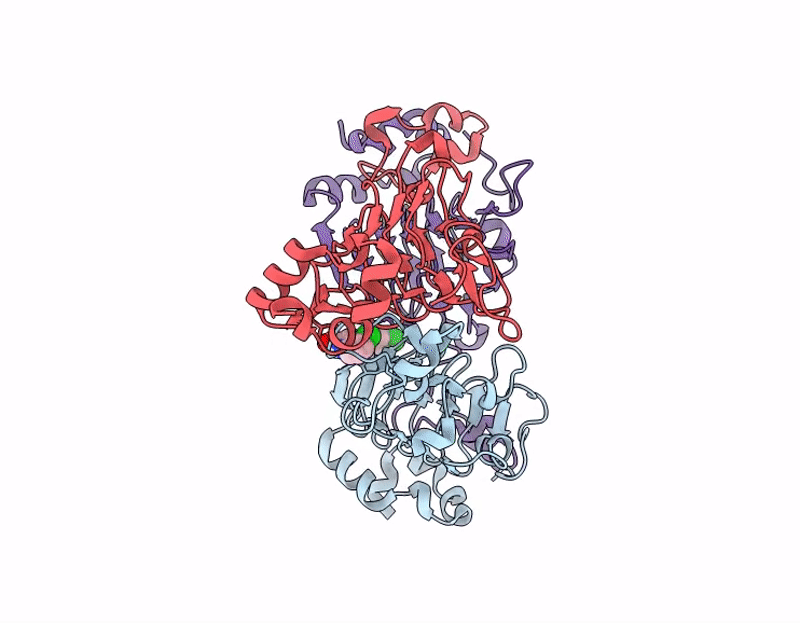 7I07 image
