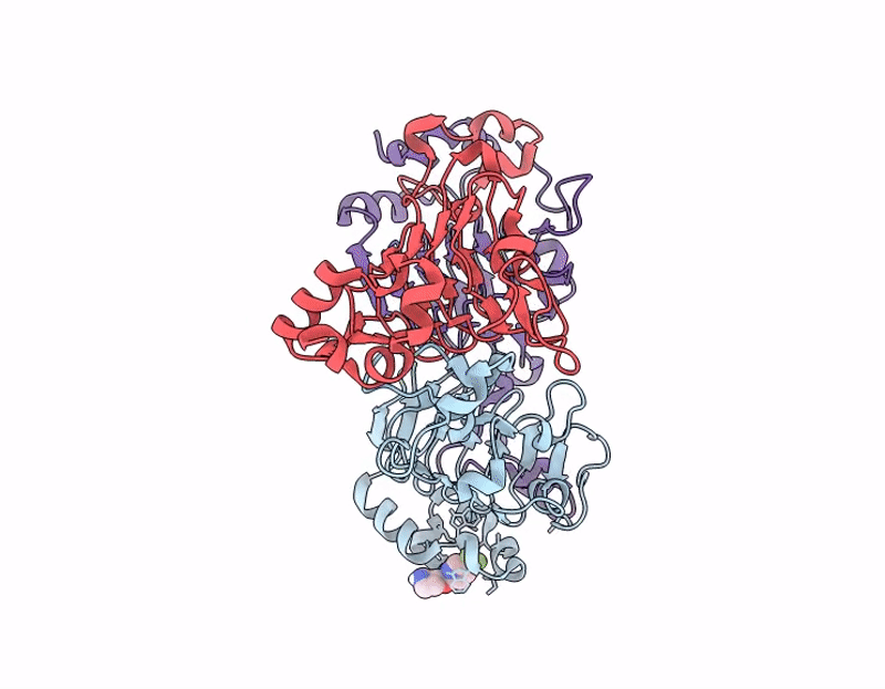 7I0B image