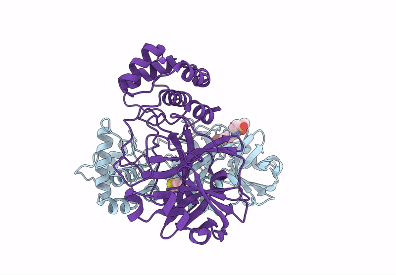 7I1D image