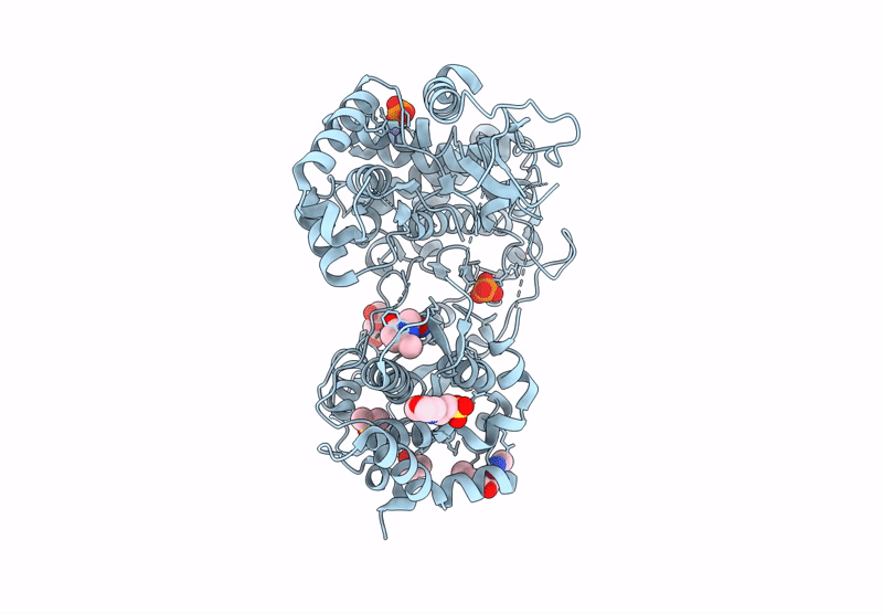 7I2G image