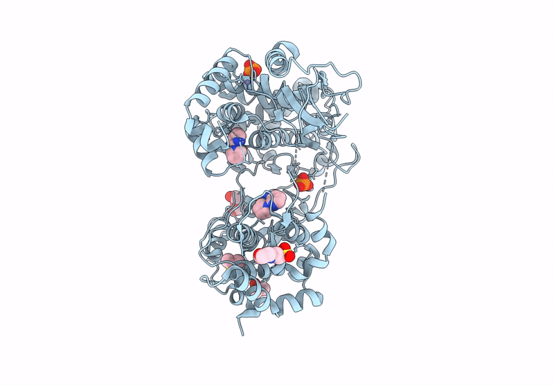 7I2I image