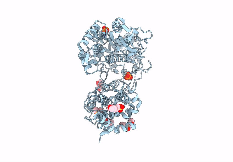7I2K image