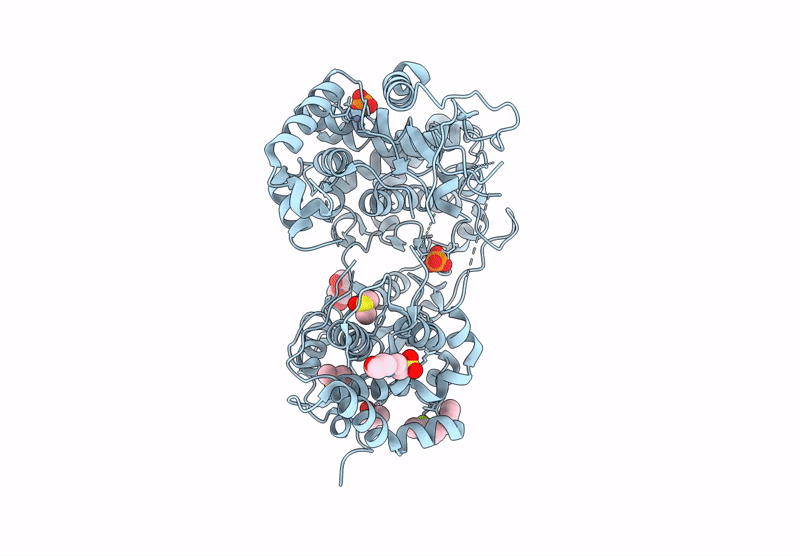 7I2L image