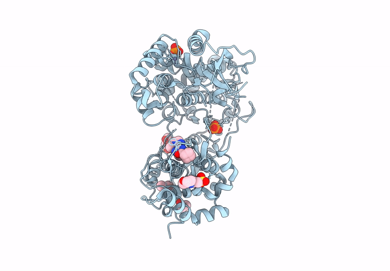 7I2N image
