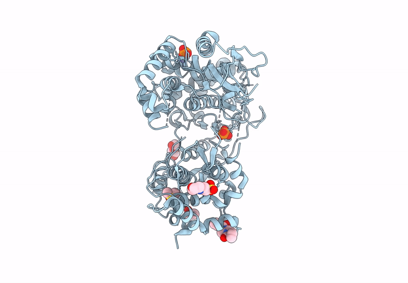 7I2T image