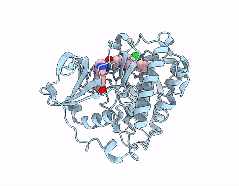 7I81 image