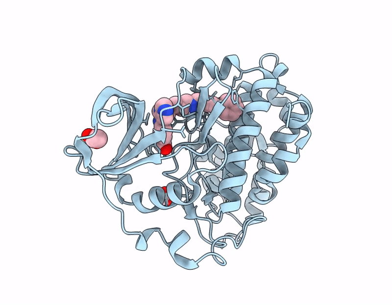 7I82 image