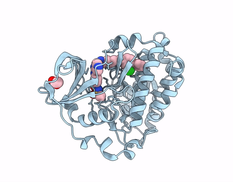 7I84 image