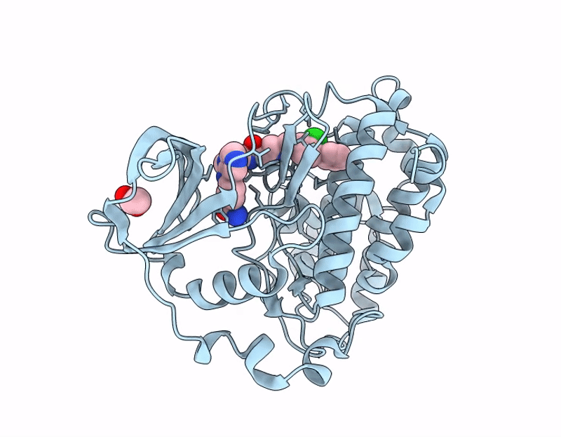 7I86 image