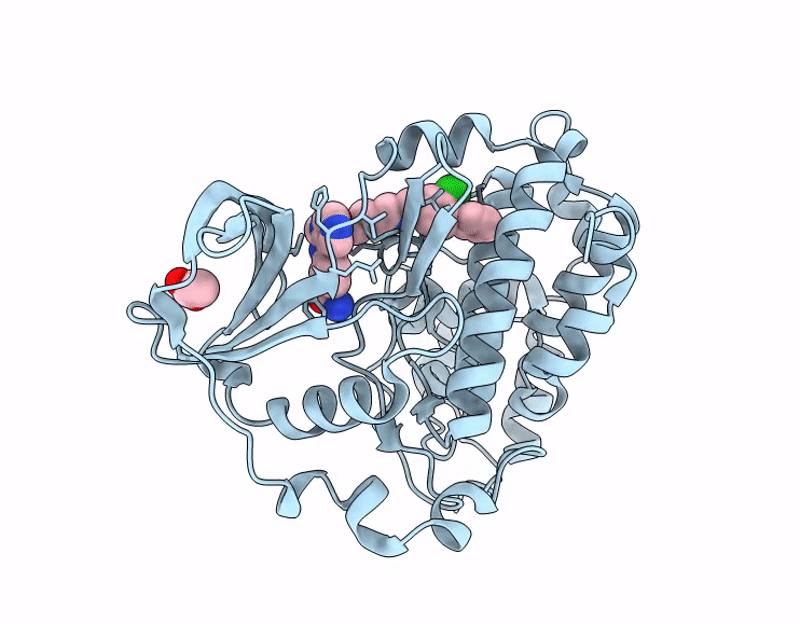 7I87 image