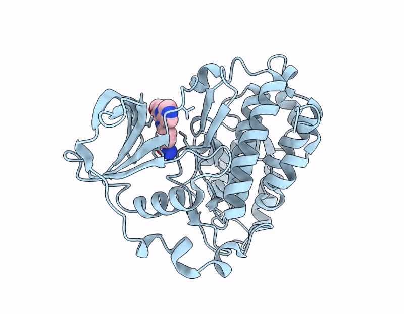 7I88 image
