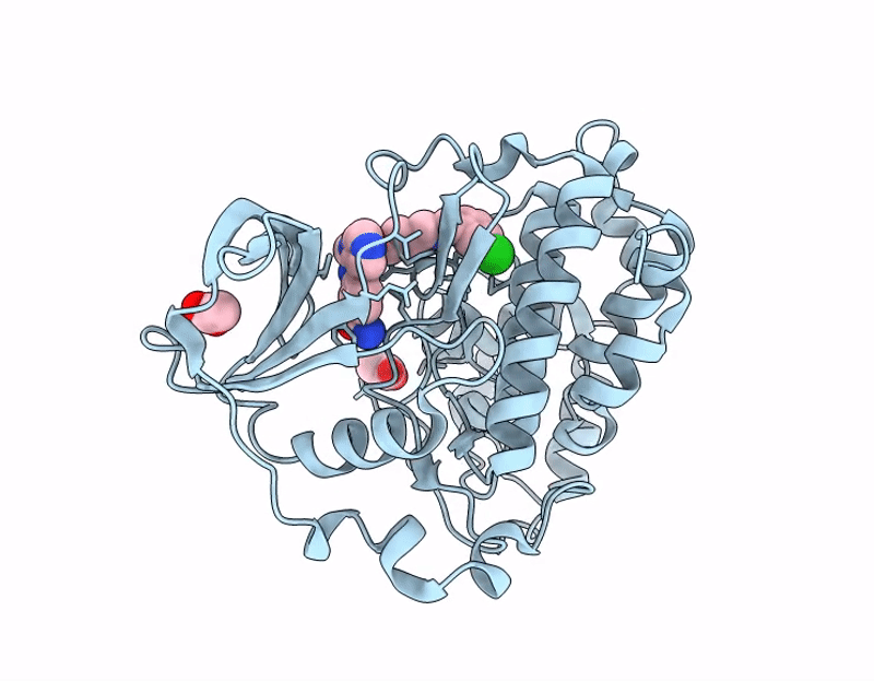 7I89 image