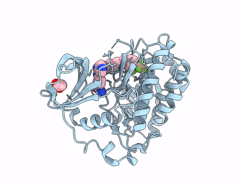 7I8A image