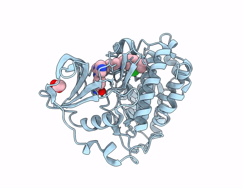 7I8B image