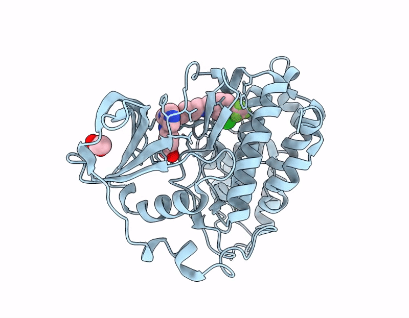 7I8C image