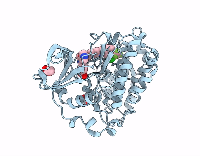 7I8D image