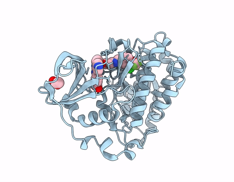 7I8F image
