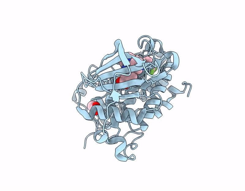 7I8G image