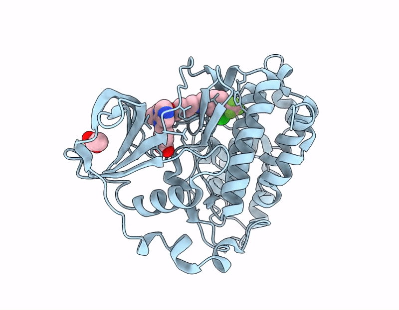 7I8H image
