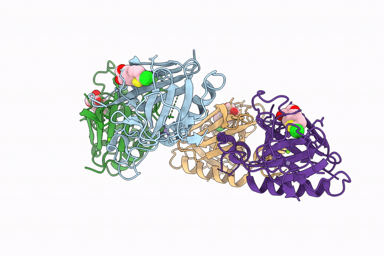7I9B image