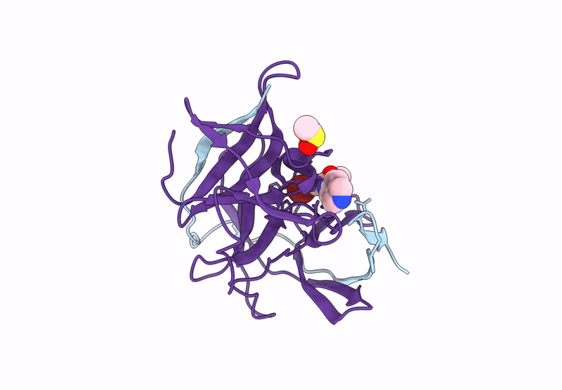 7I9T image