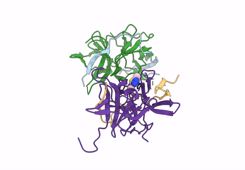 7IAV image