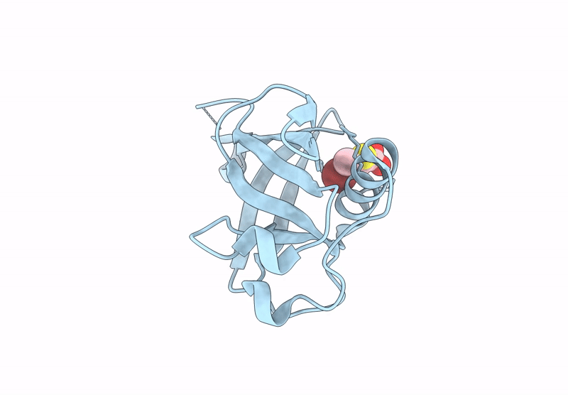 7IBH image
