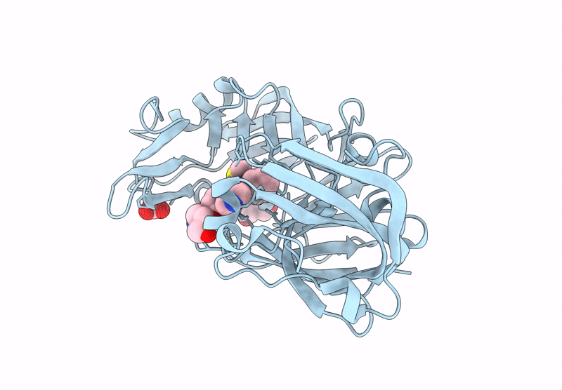 7IFB image