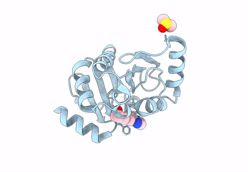 7IJV image