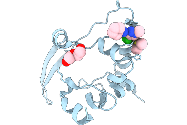7ILP image