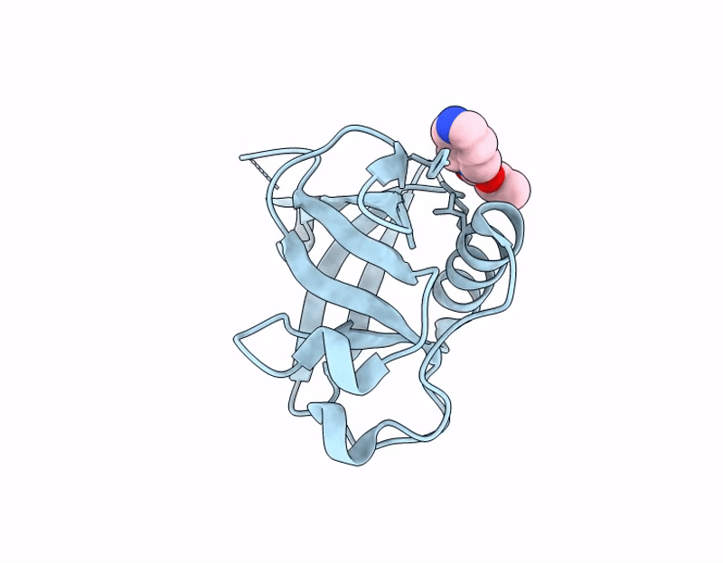 7IPM image
