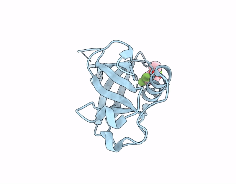 7IPN image