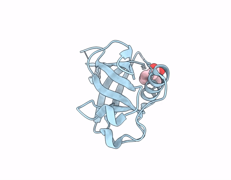 7IPP image