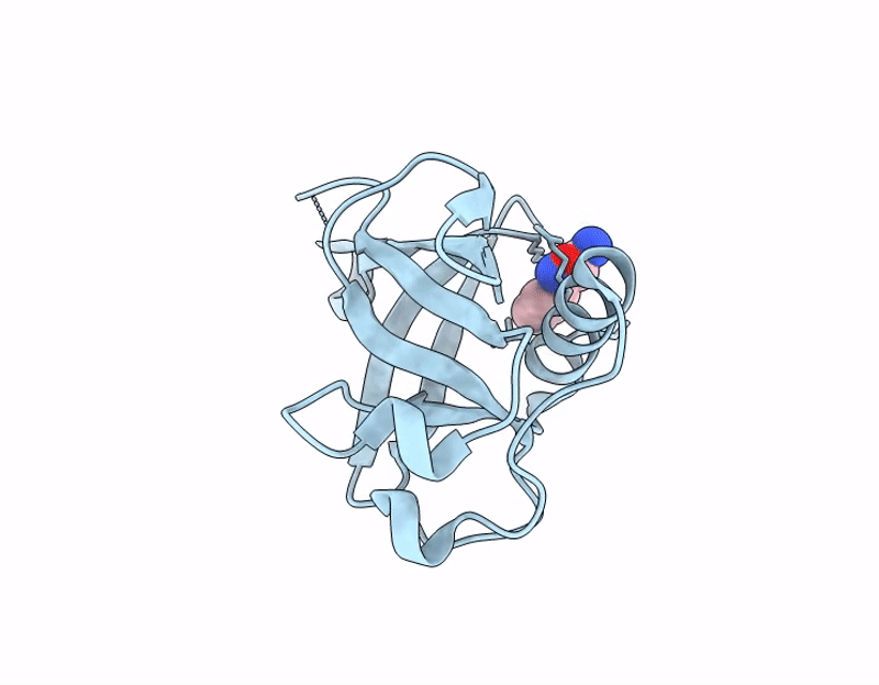7IPR image