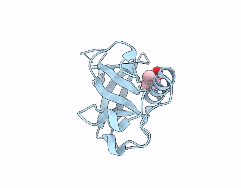 7IPS image