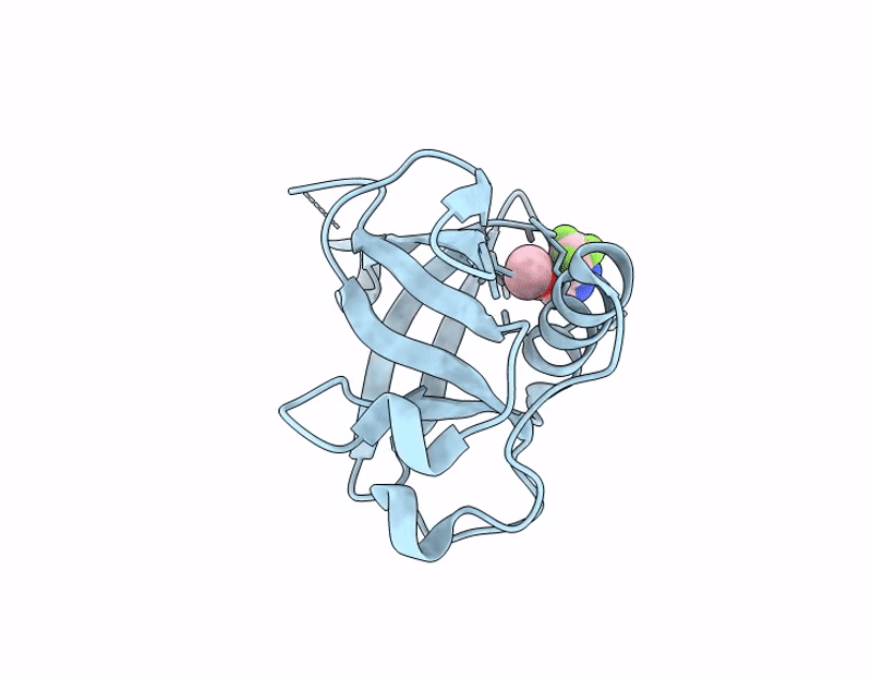 7IPT image