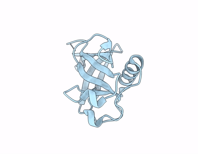 7IPX image