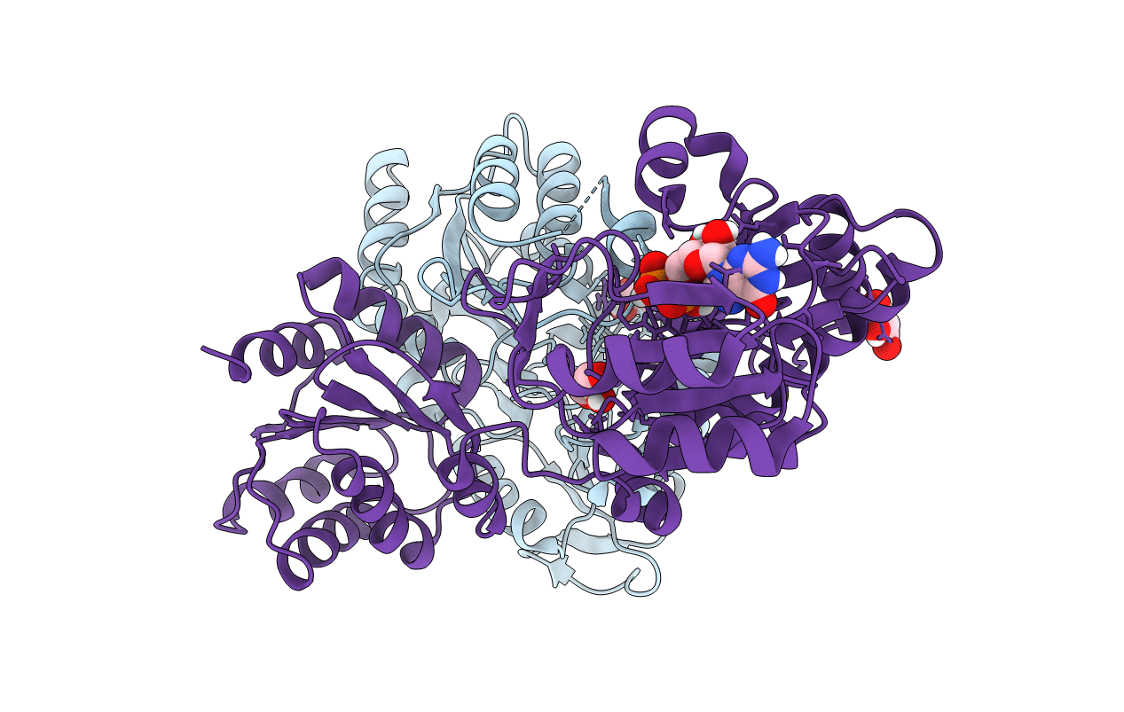 7JFP image