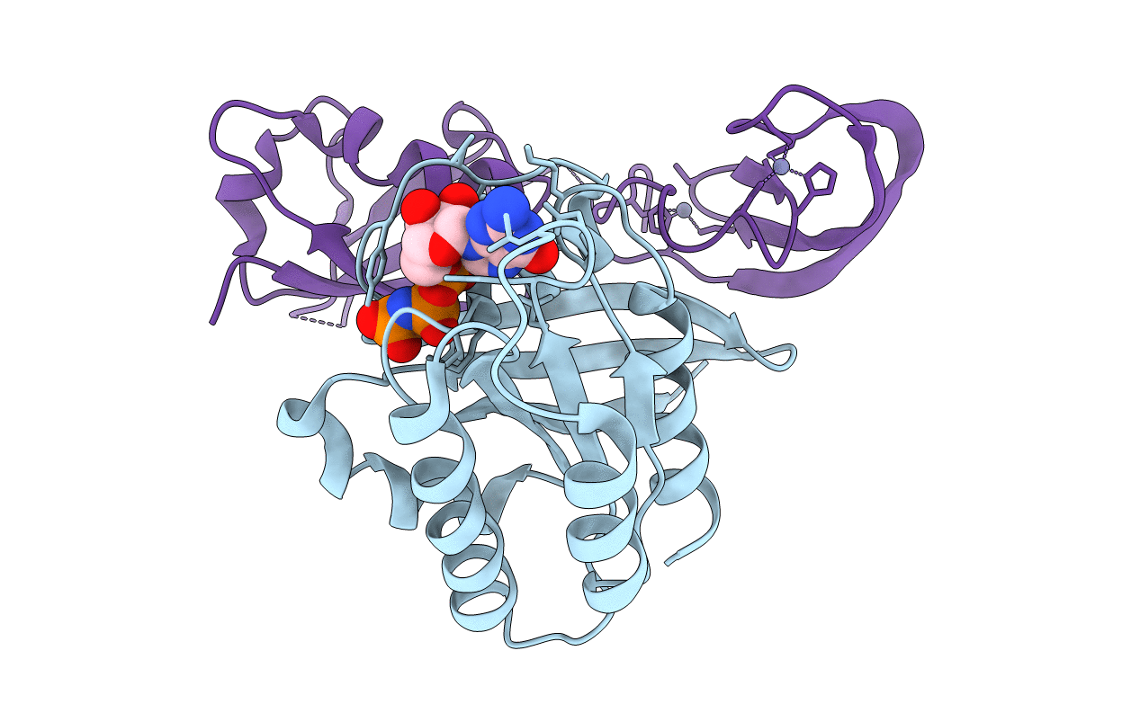 7JHP image