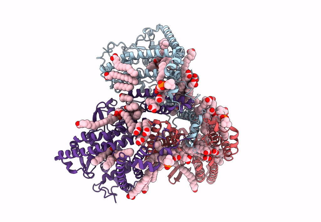 7JLP image